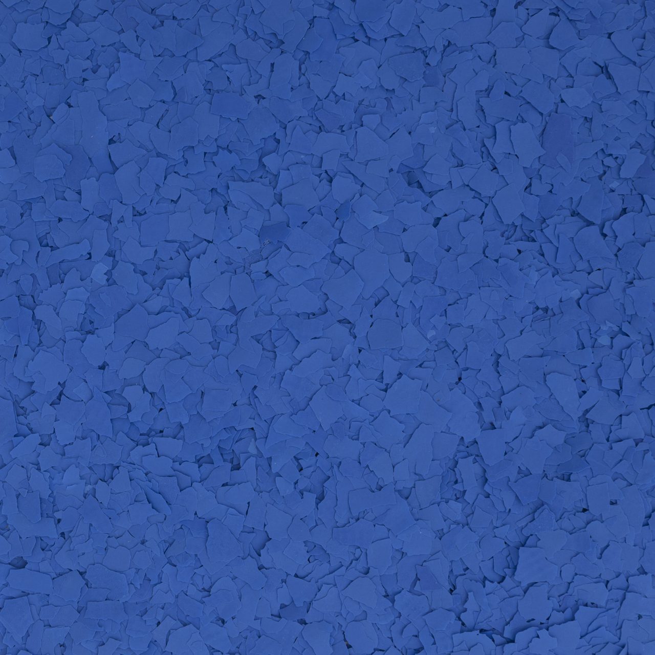 おみ 20250912_5912.jpg?v=1759225448